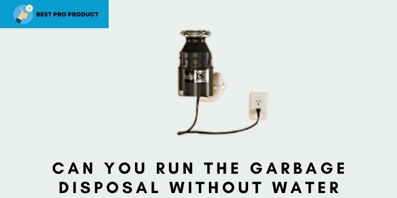 Can You Run the Garbage Disposal Without Water?