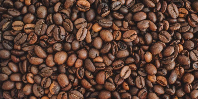 Coffee Beans are worst for garbage disposal