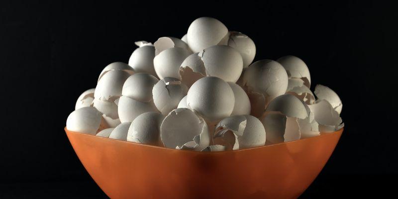 Eggshells are not good for garbage disposal 