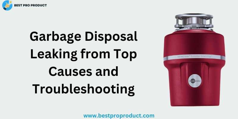 Garbage Disposal Leaking From Top Causes And Troubleshooting   Garbage Disposal Leaking From Top 2 