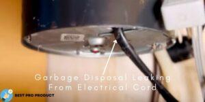 Garbage Disposal Leaking From Electrical Cord - How to fix?