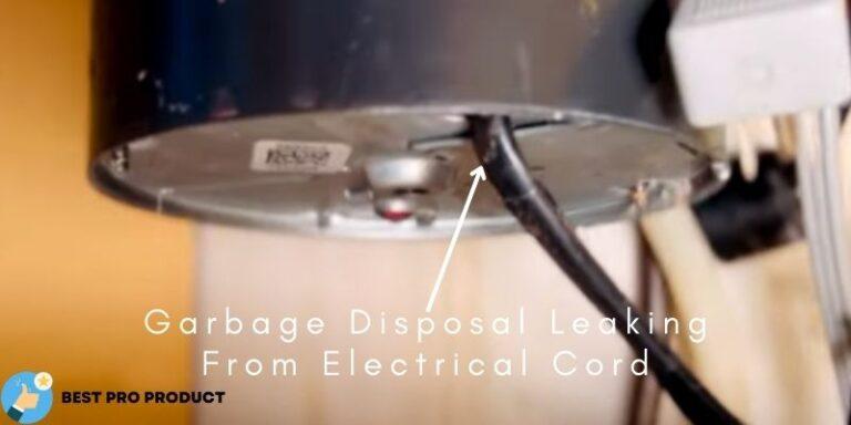 Garbage Disposal Leaking From Electrical Cord