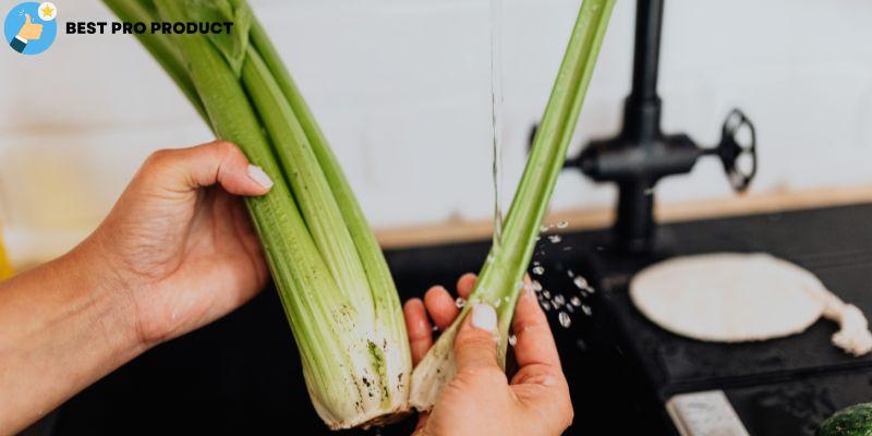 celery for garbage disposal 