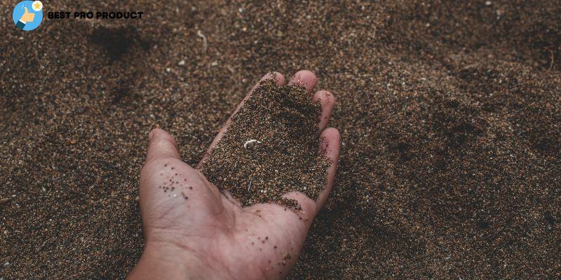 What Happens When You Pour Baking Soda into the Soil