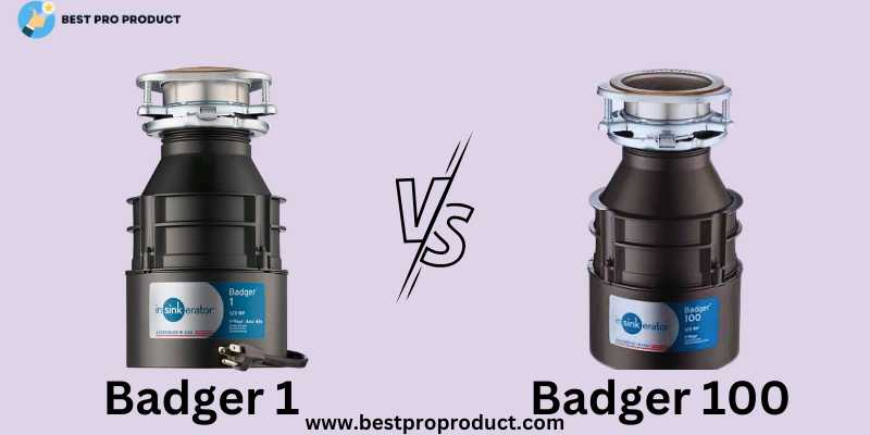 Difference Between Badger 1 and Badger 100