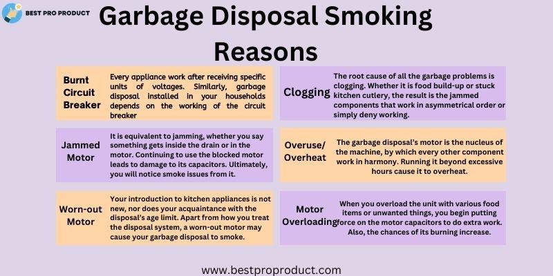 Garbage Disposal Smoking Reason