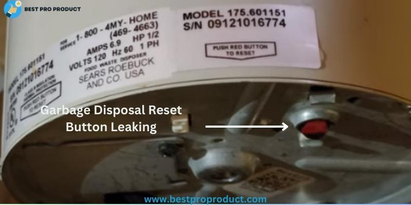 Garbage Disposal Reset Button Leaking